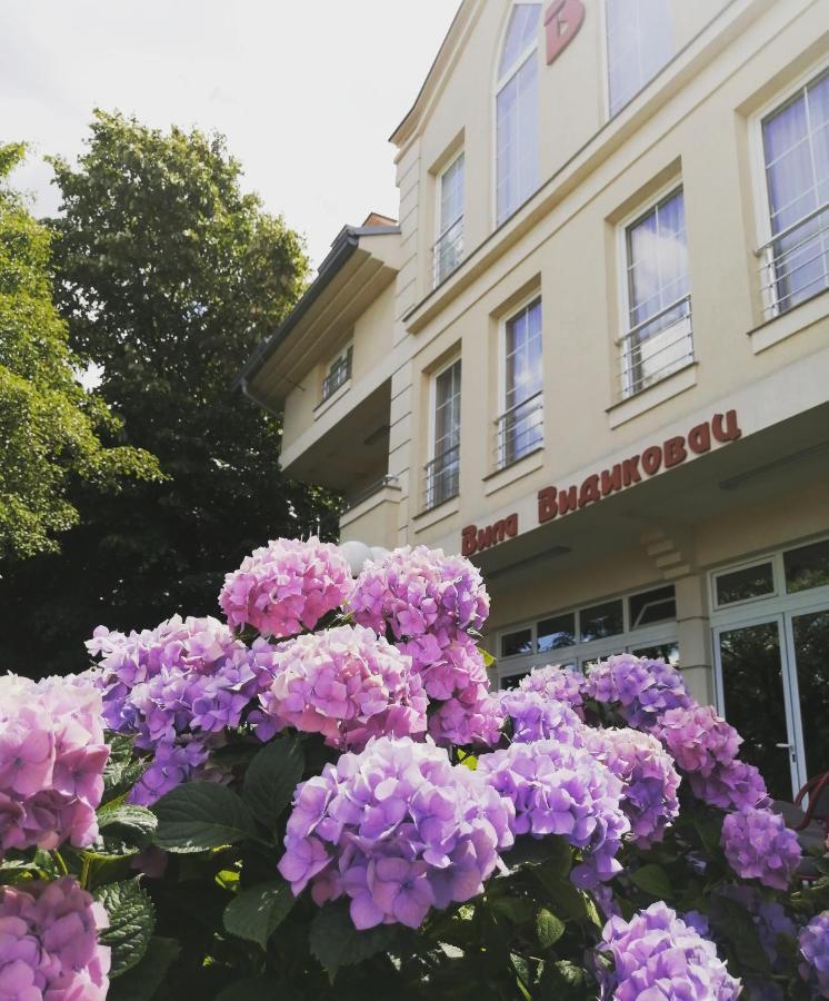 B&B Vila Vidikovac Аранделовац Экстерьер фото