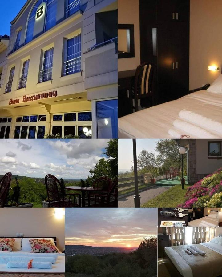 B&B Vila Vidikovac Аранделовац Экстерьер фото