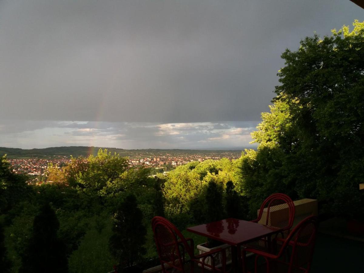 B&B Vila Vidikovac Аранделовац Экстерьер фото