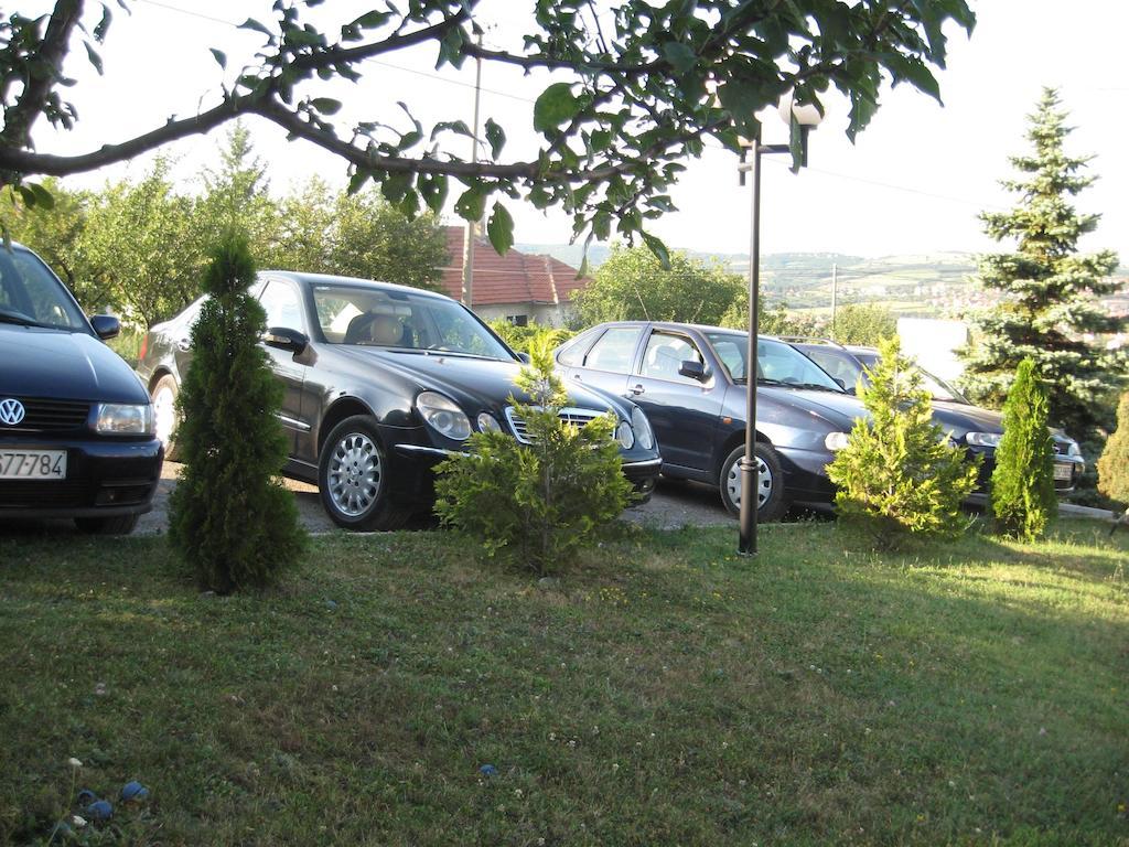 B&B Vila Vidikovac Аранделовац Экстерьер фото