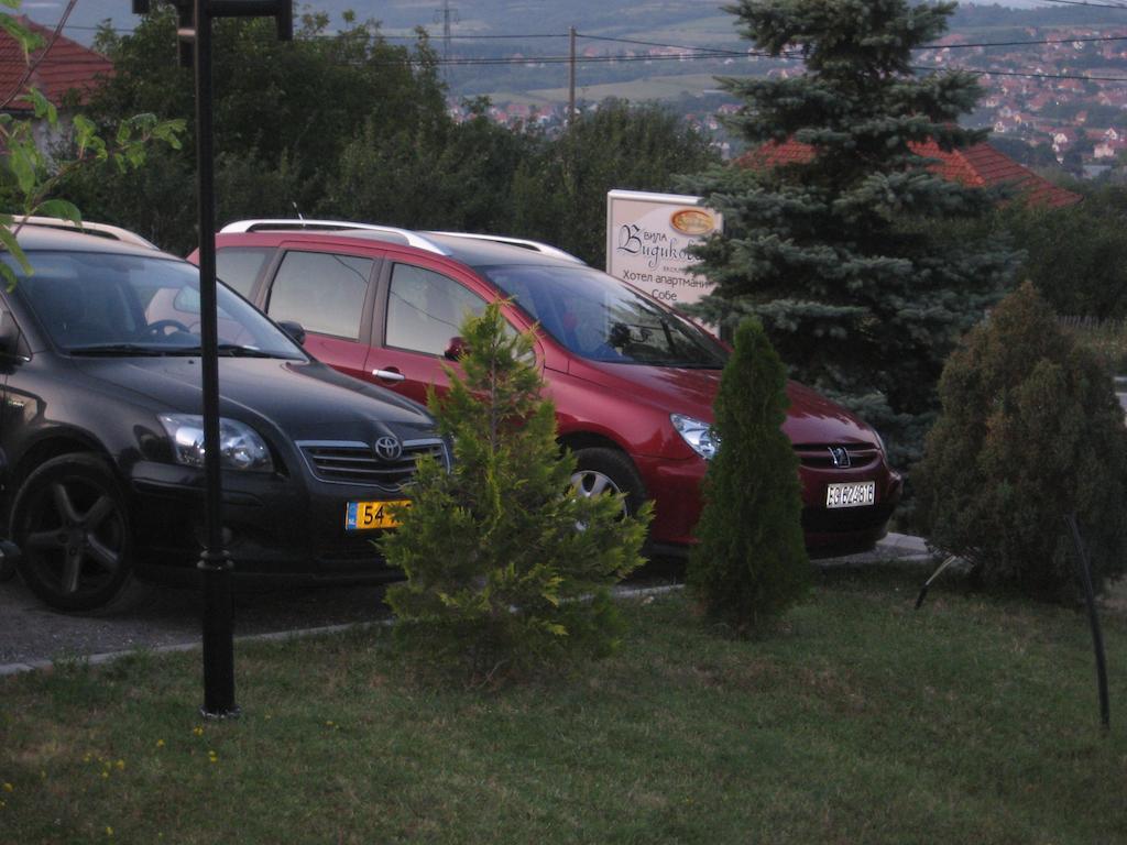 B&B Vila Vidikovac Аранделовац Экстерьер фото