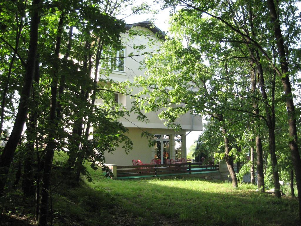 B&B Vila Vidikovac Аранделовац Экстерьер фото