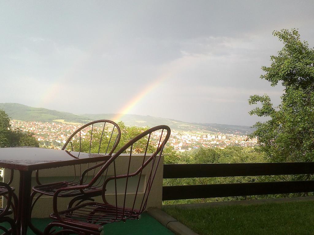 B&B Vila Vidikovac Аранделовац Экстерьер фото