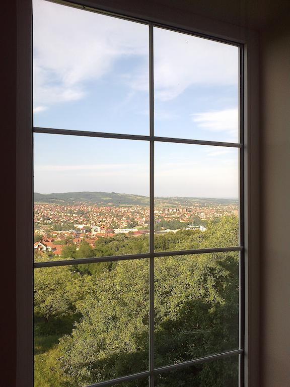 B&B Vila Vidikovac Аранделовац Экстерьер фото