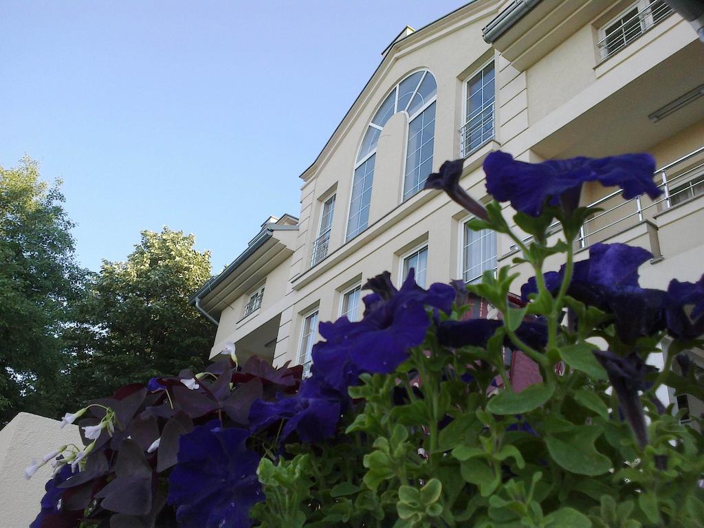 B&B Vila Vidikovac Аранделовац Экстерьер фото