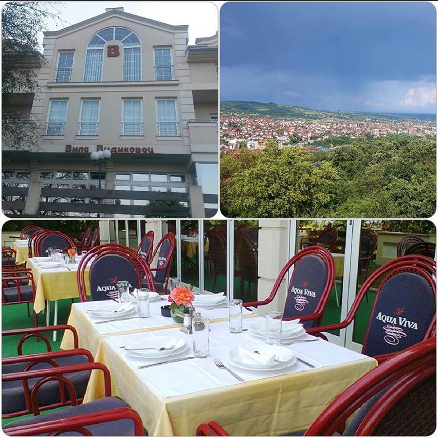 B&B Vila Vidikovac Аранделовац Экстерьер фото